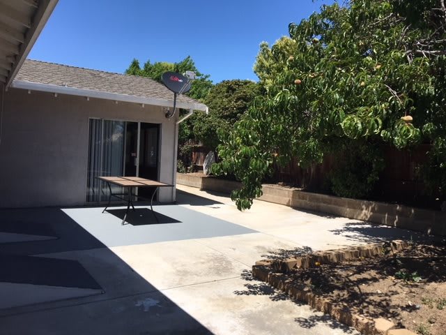 A sunny backyard with a patio, table, and surrounding trees.