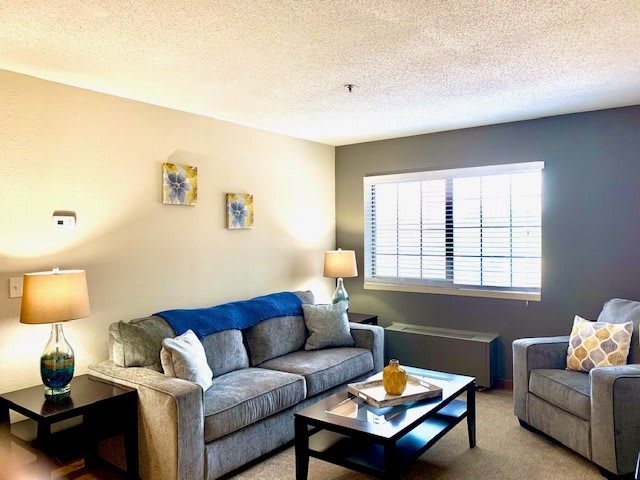 A cozy living room with a sofa, armchair, and coffee table, well-lit by a large window.