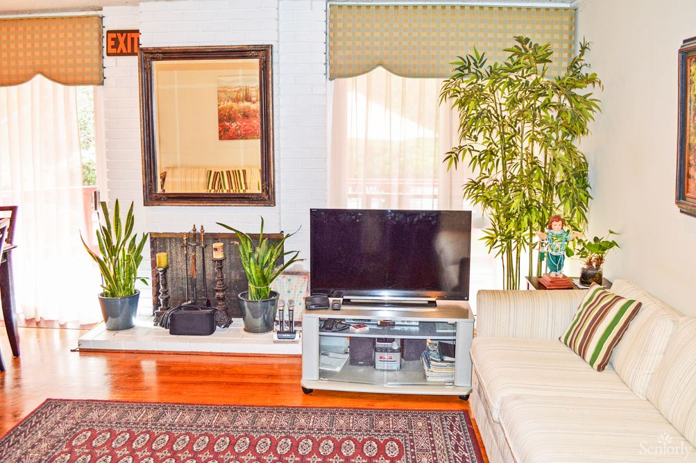 A cozy living room featuring a television, indoor plants, and a fireplace.