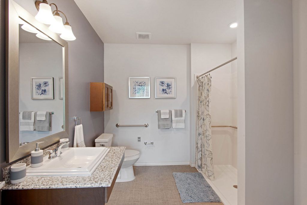 A modern bathroom with a spacious design, featuring a sink, toilet, shower, and decorative elements.