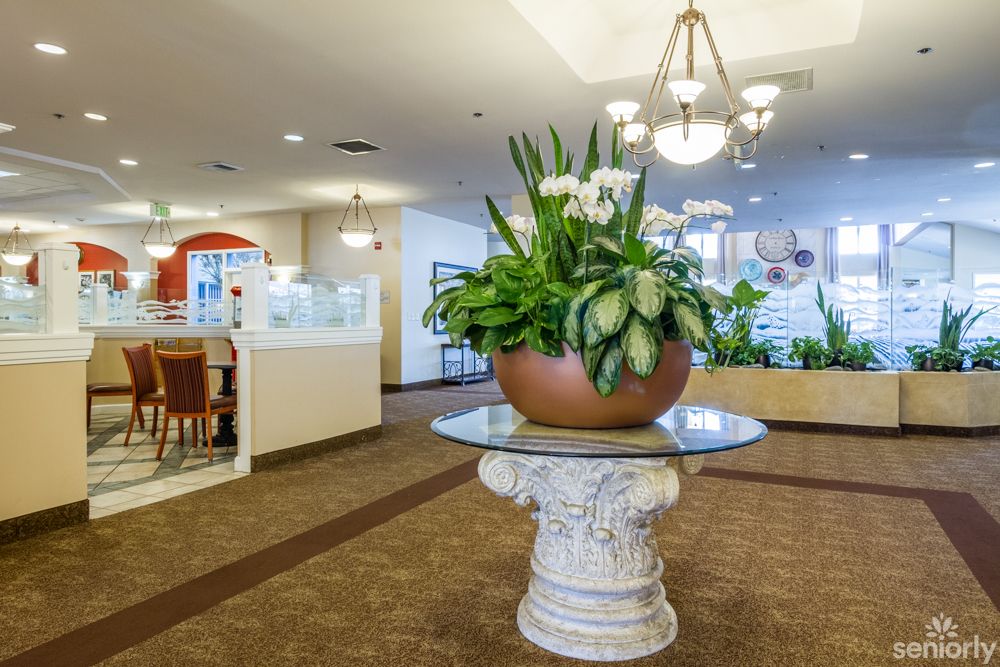 A well-decorated hotel lobby featuring a large potted plant on a pedestal table surrounded by elegant lighting and comfortable seating.