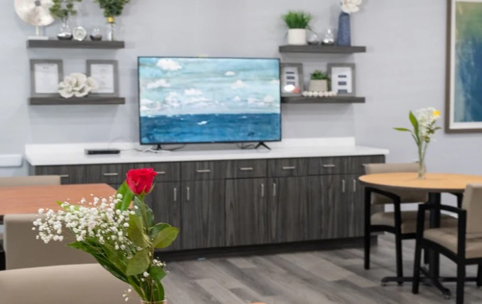 A modern living room with a TV, decorative shelves, and plants.