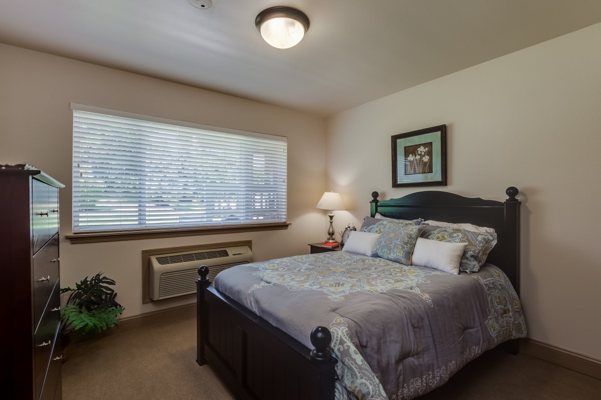 A cozy bedroom with a neatly made bed, bedside lamp, and natural light from the window.