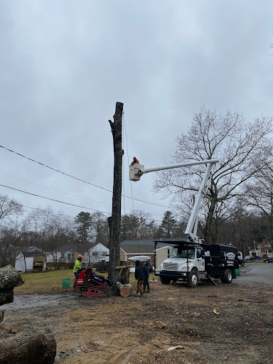 Workers using a bucket truck to remove a tree in adverse weather conditions.