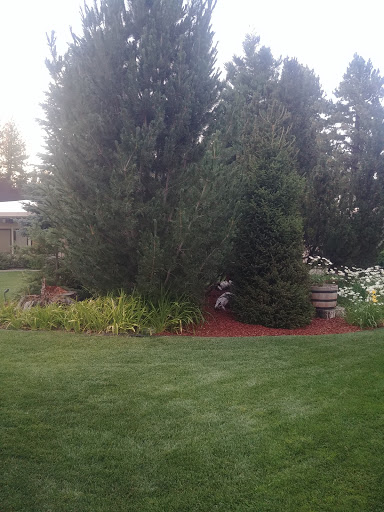 A serene garden featuring lush greenery and vibrant flowers.