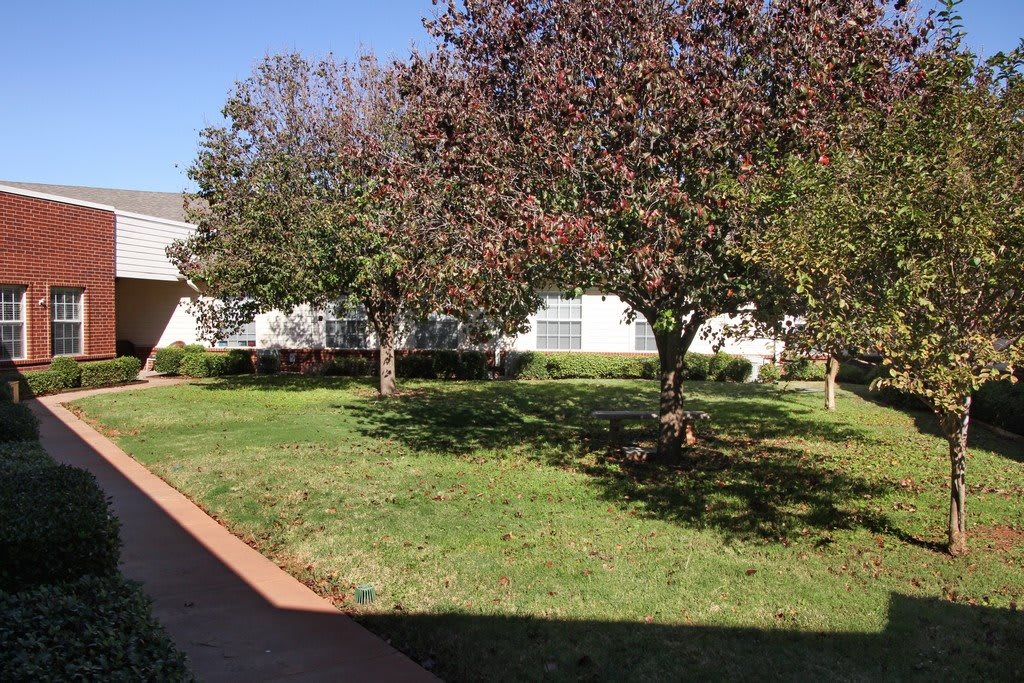 A sunny outdoor scene with trees and a building in the background.
