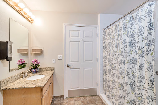 A contemporary bathroom featuring a shower curtain, vanity with sink, and decorative elements.