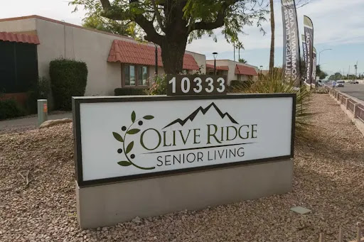 Olive Park Assisted Living