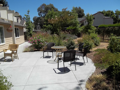 A sunny outdoor patio area with chairs and a small table, surrounded by lush greenery.