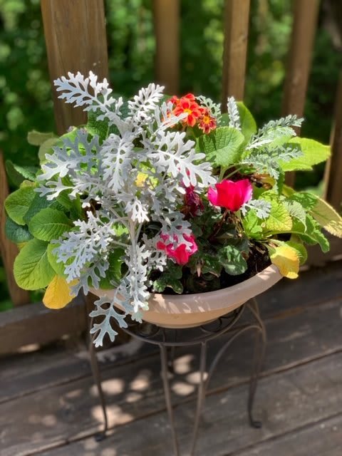 A vibrant potted plant arrangement with a mix of colorful flowers and foliage displayed outdoors on a wooden surface.