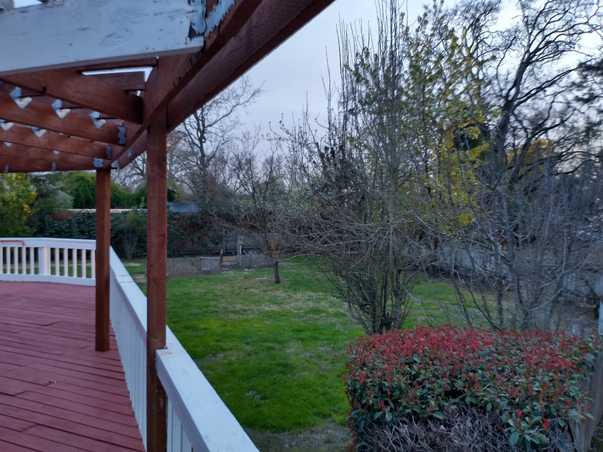 A view of a backyard from the deck with trees and shrubs on a cloudy day.