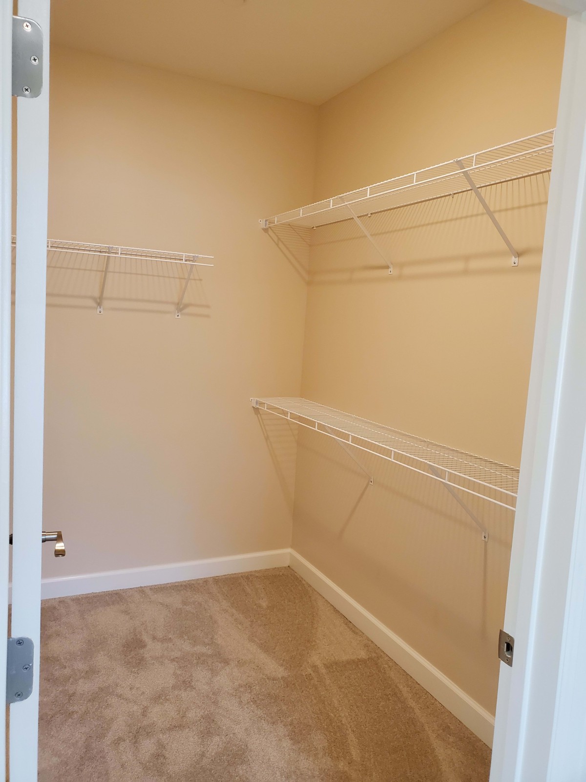 An empty walk-in closet with wire shelving installed on the walls.
