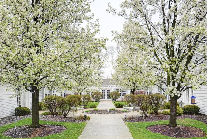 A picturesque garden pathway lined with blossoming trees in spring.