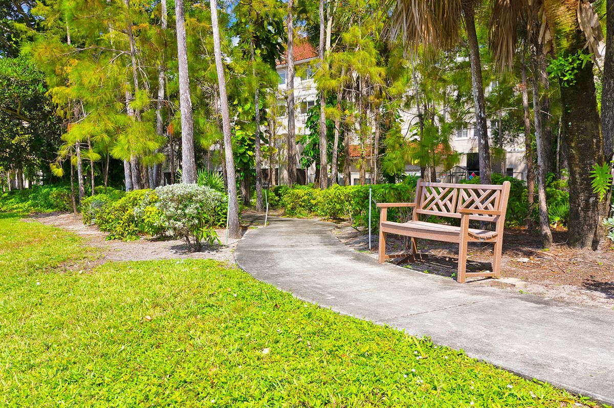 A serene park with a bench and pathway surrounded by lush trees and greenery.