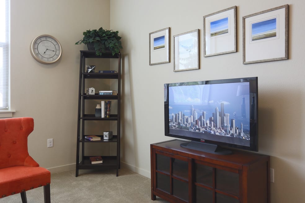 A cozy living room featuring a television, wall art, and a shelving unit.