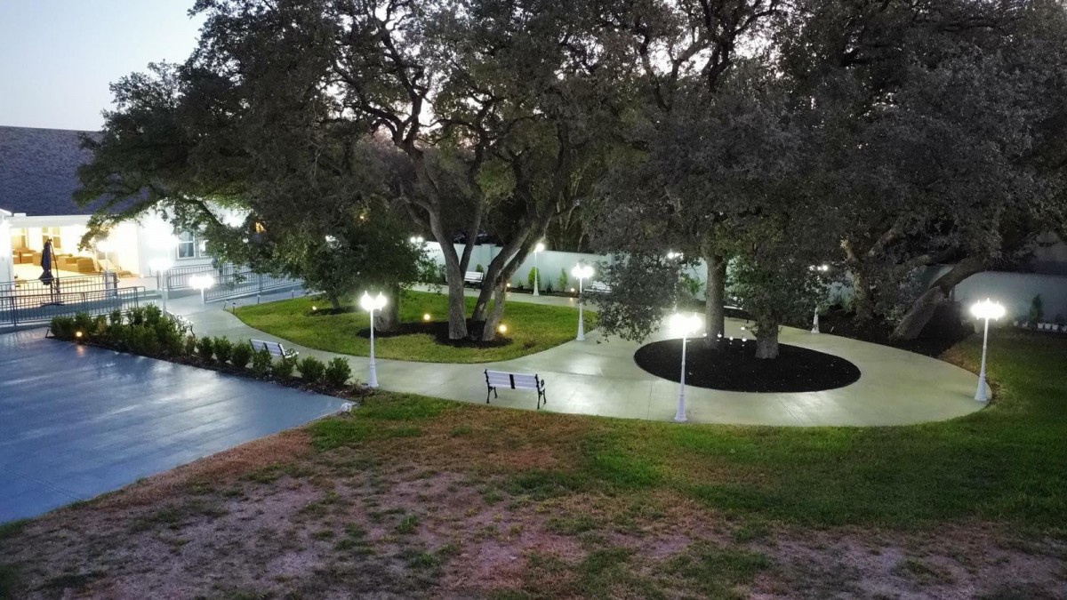 A serene evening park scene with illuminated pathways winding through large trees.