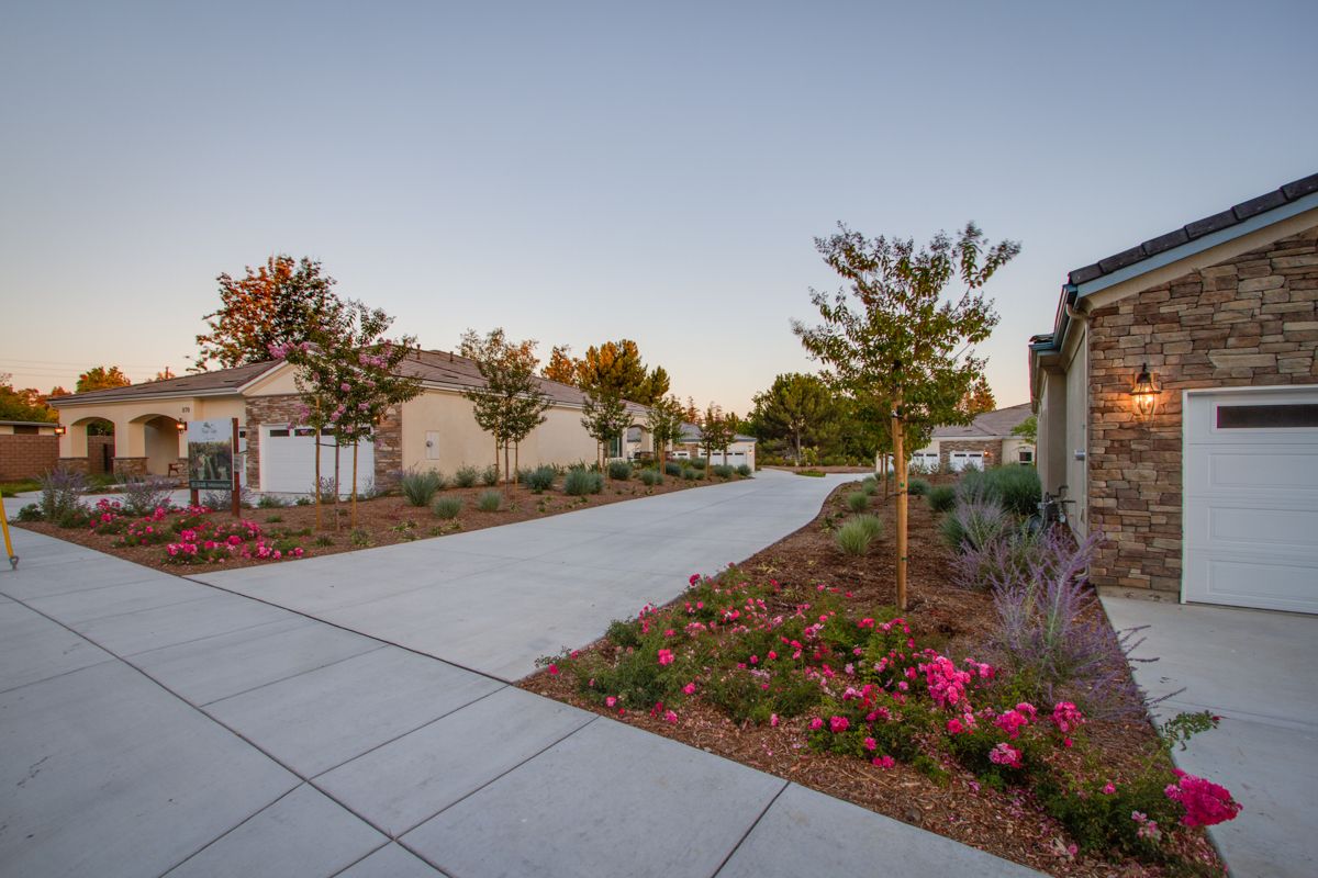Park Vista Senior Living 1-4