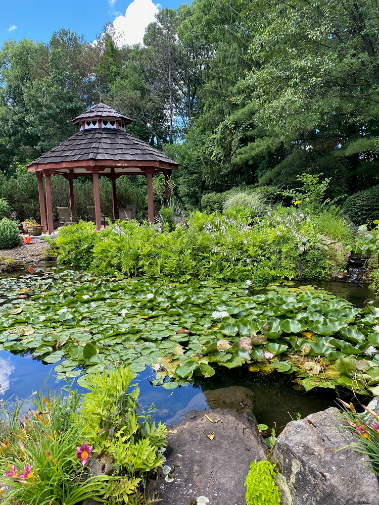 A tranquil garden scene featuring a pond with lily pads and a wooden gazebo surrounded by lush greenery.