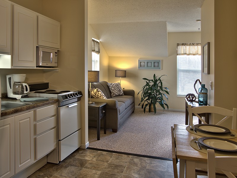 A cozy apartment with an open layout, featuring a kitchen area and a welcoming living room.