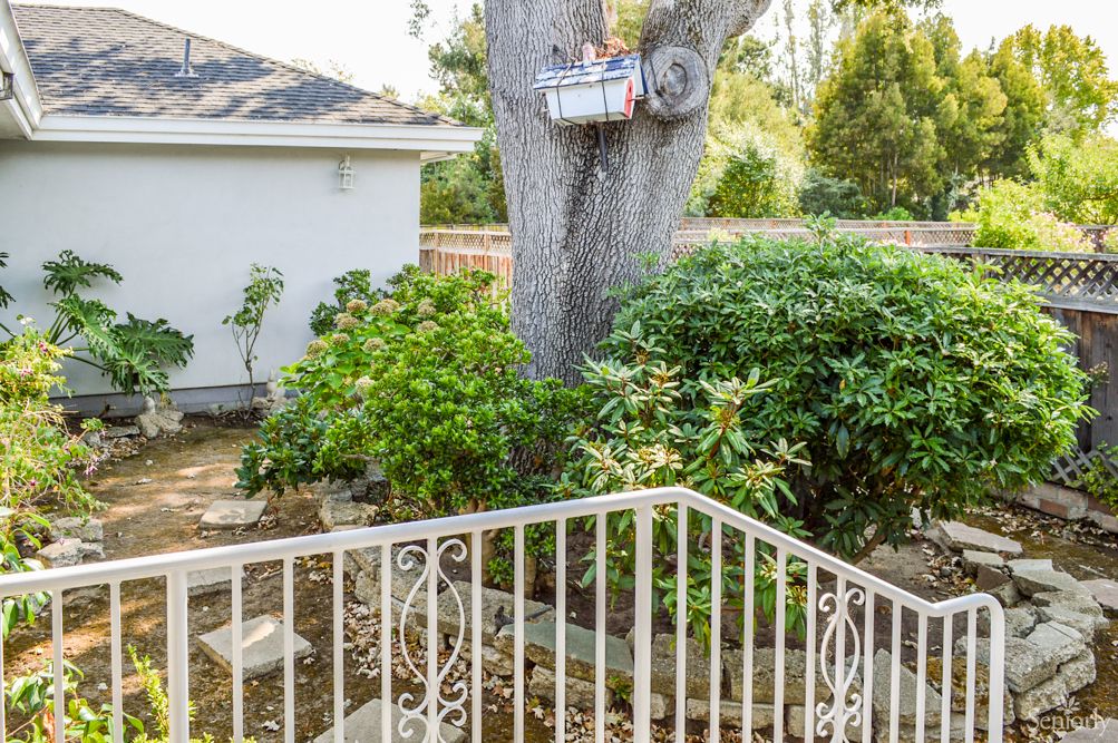 A backyard garden featuring lush greenery, a large tree, and a decorative fence.