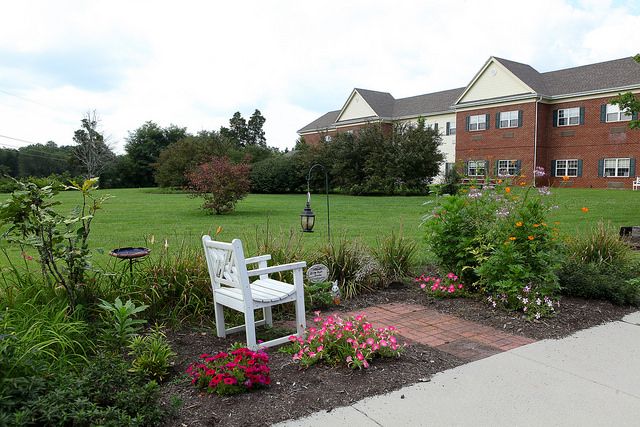A peaceful garden scene with a bench surrounded by flowers and a building in the background.