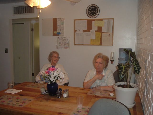 Two elderly people sitting at a dining table in a kitchen, with flowers and a potted plant.
