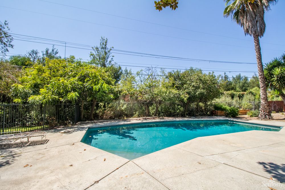 A tranquil backyard featuring a swimming pool surrounded by lush greenery on a clear, sunny day.