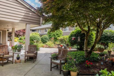 A peaceful garden patio with wooden chairs surrounded by lush greenery and potted plants.