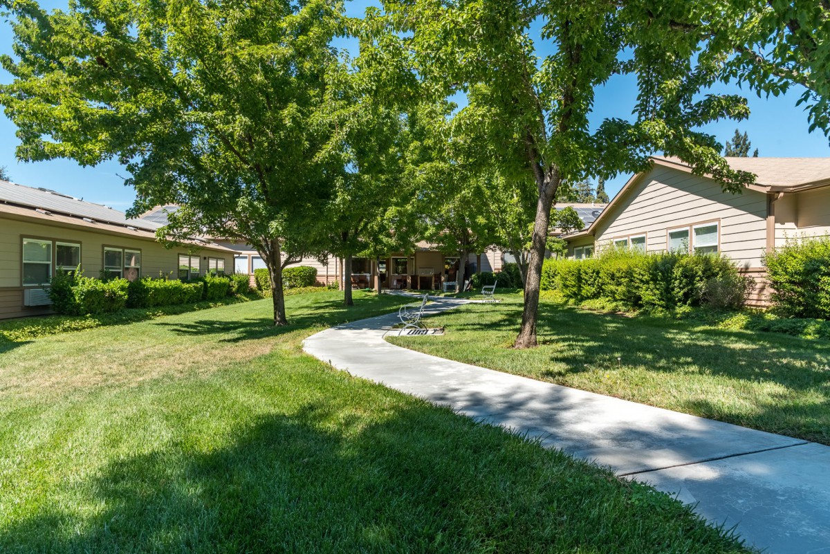 A serene pathway leading through a garden with lush trees and residential houses.
