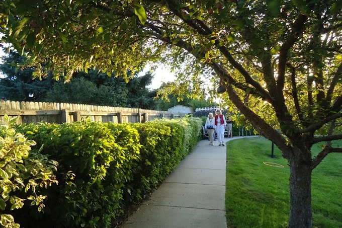 A sunny pathway surrounded by lush greenery, with people walking in the distance.