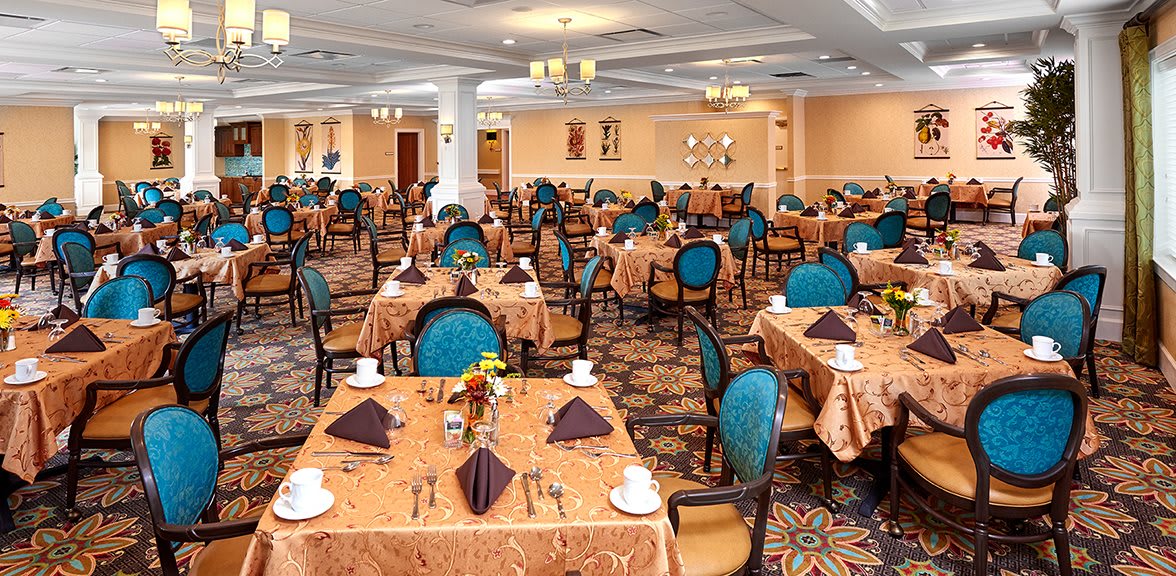 The Bristal at Holtsville