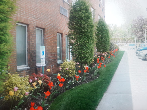 A serene view of a flower bed alongside a building, enhancing the urban landscape.