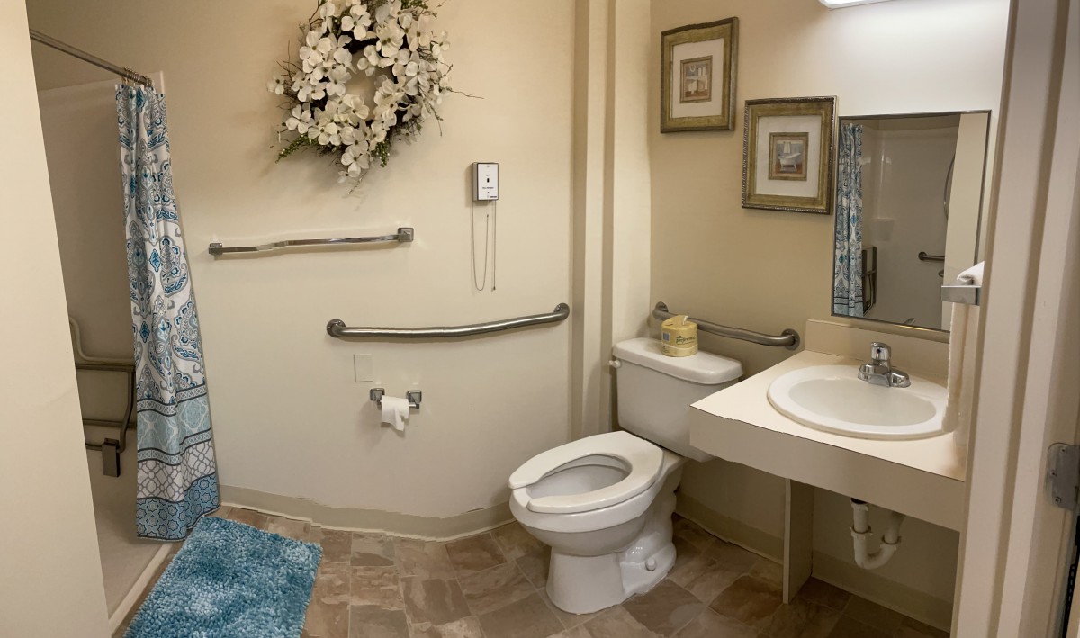 An accessible bathroom with support handrails, a toilet, sink, and decorative elements.