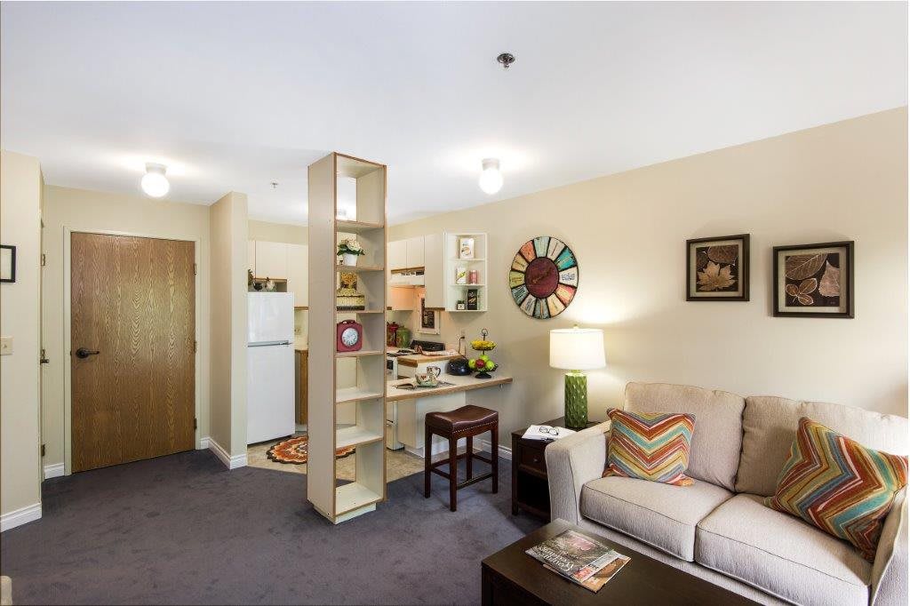 A cozy apartment living room featuring a small kitchen area, a comfortable sofa, and a decorative shelf.