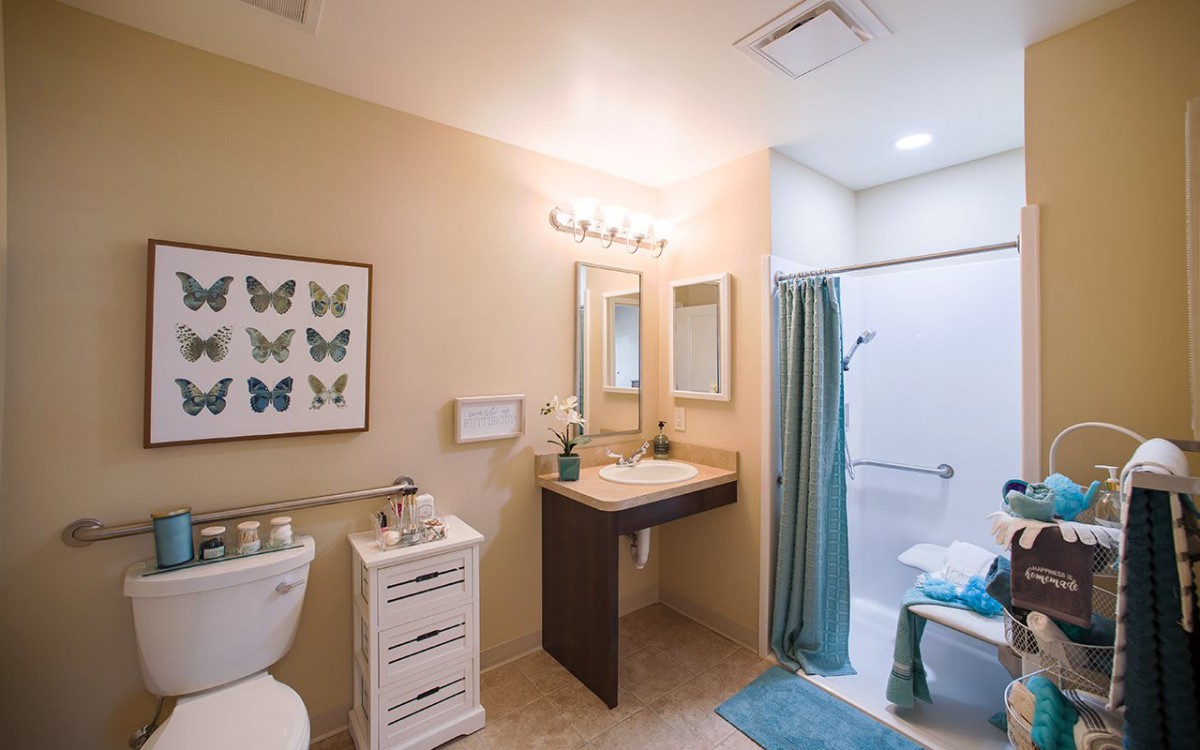 A well-lit, accessible bathroom featuring a sink with a mirror, shower area, and toilet.