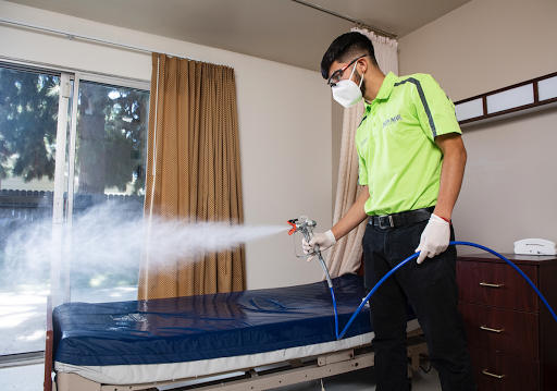 A professional sanitizing a mattress in a room for health and safety.