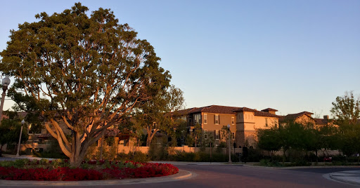 A serene residential area showcasing elegant architecture and vibrant landscaping during sunset.
