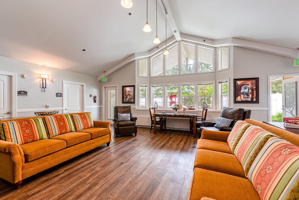 A spacious living room with vibrant orange sofas and large windows that let in plenty of natural light.