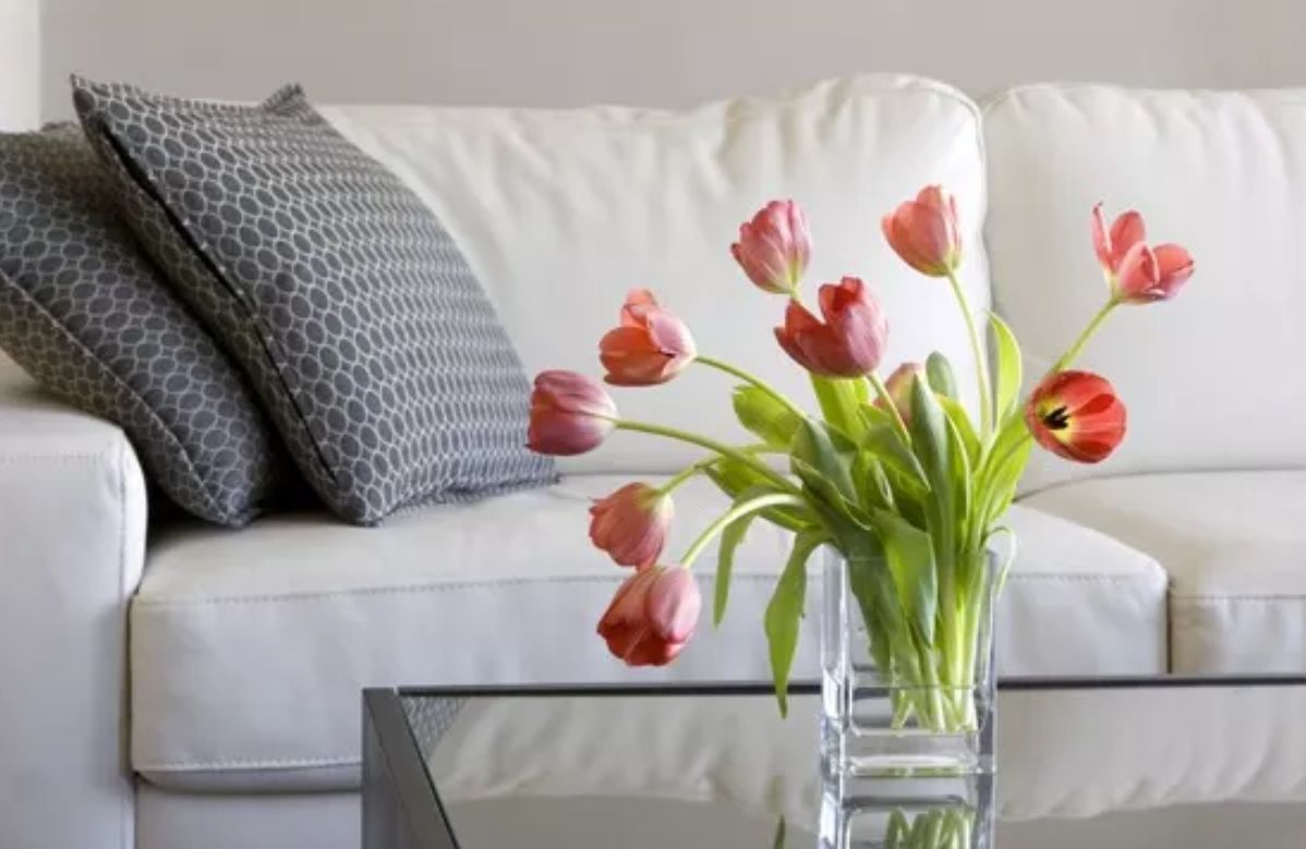 Bridgecreek Memory Care Community