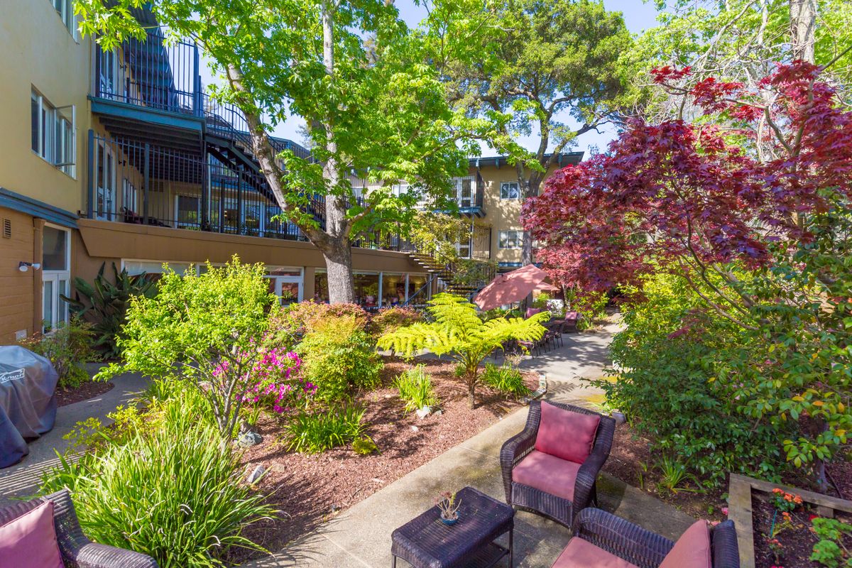 A serene garden with colorful landscaping and outdoor seating under lush trees.