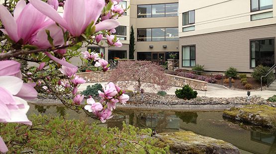 A serene view of a modern building surrounded by blossoming trees and a peaceful pond.