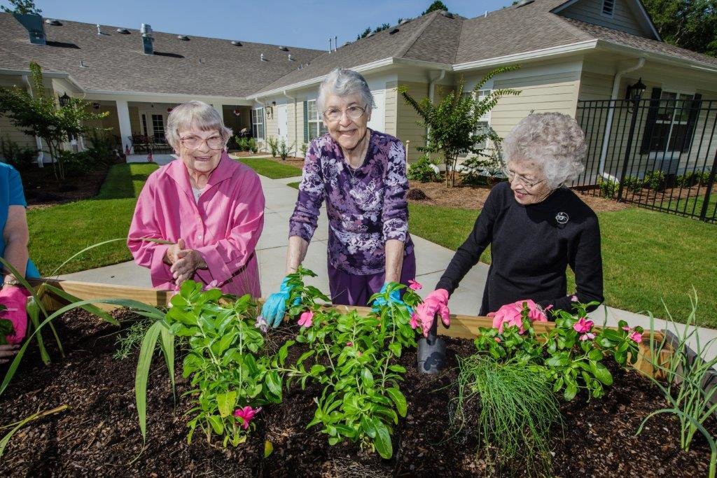 Three seniors enjoying gardening together outside in a communal garden.
