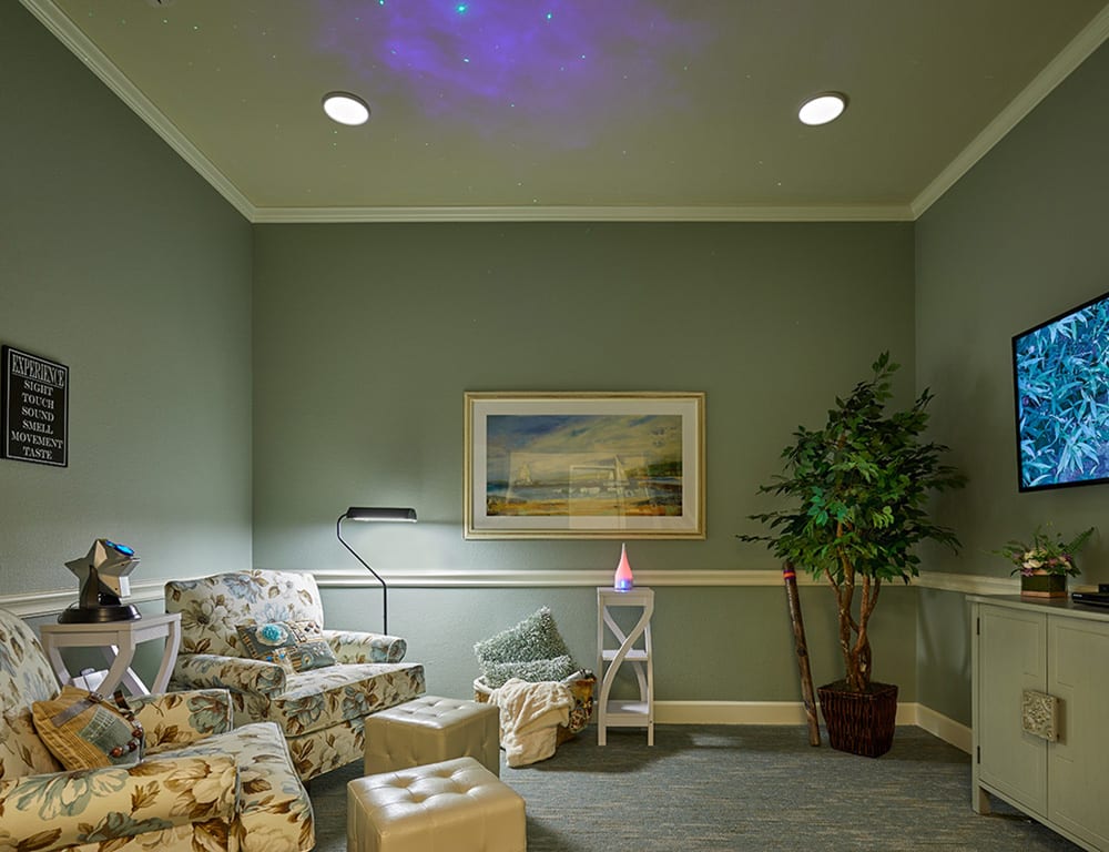 A cozy living room with comfortable seating, artwork on the wall, and a potted plant providing a relaxing atmosphere.
