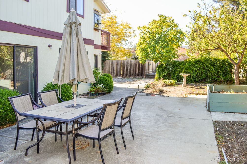 A sunny backyard with a patio table, chairs, and an umbrella surrounded by greenery.