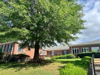 A sunny day with a large tree in front of a brick building.