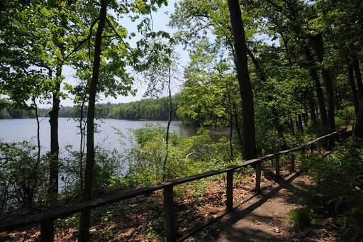 Reeds Landing