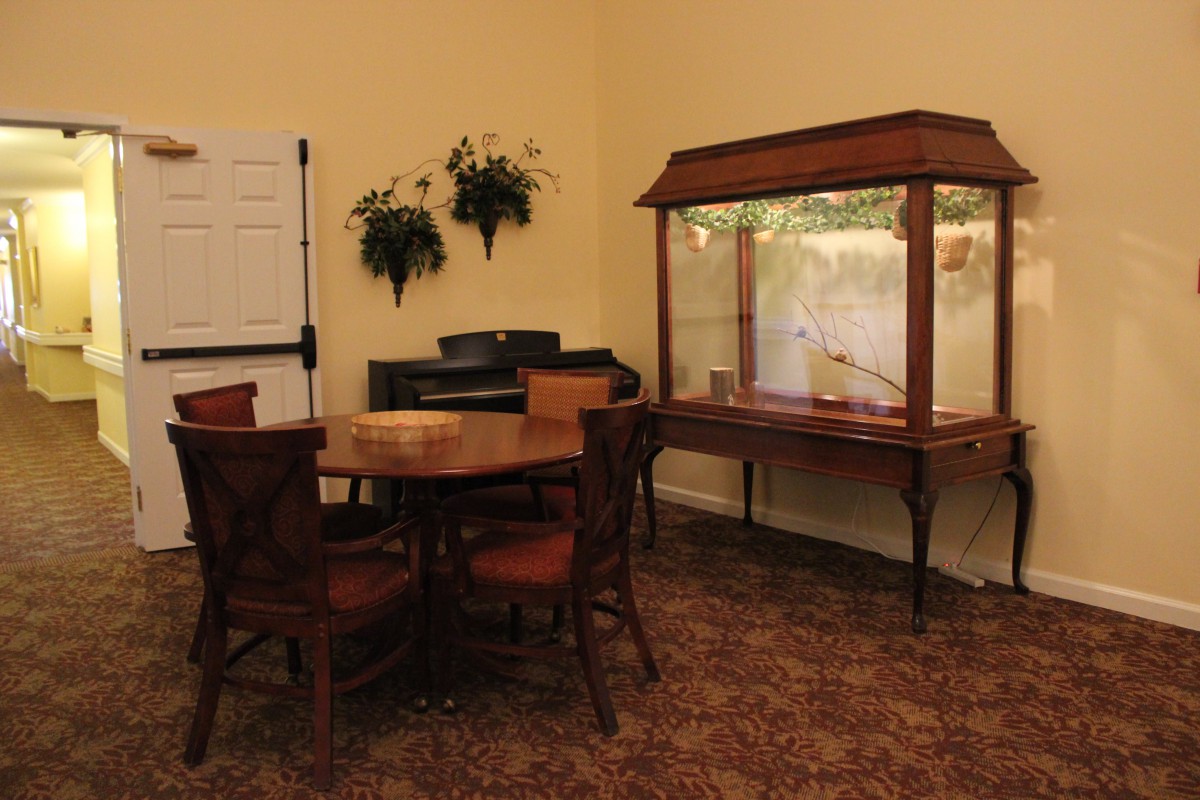A cozy dining area with a round table and chairs, accompanied by a display case and decorative plants.