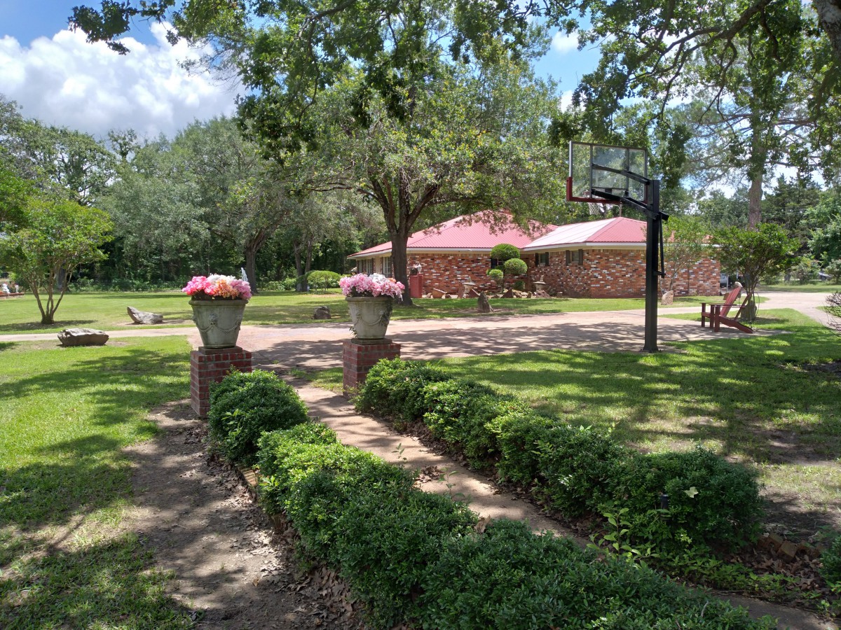 A picturesque view of a house surrounded by a lush garden and trees under a bright blue sky.