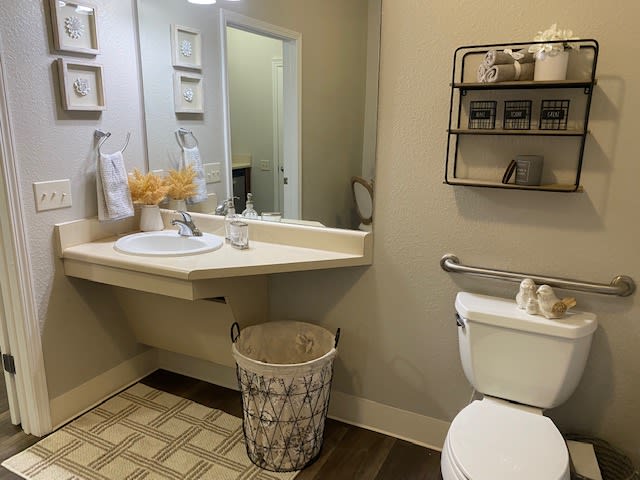 A neatly organized bathroom with a sink, mirror, toilet, and decorative elements.
