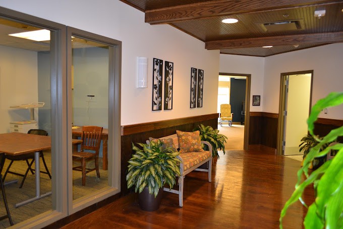 A well-lit office hallway featuring a waiting area with plants and artwork on the walls.